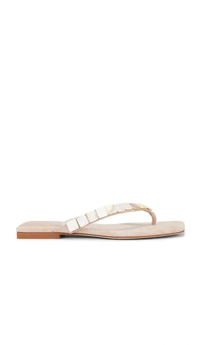 Jeffrey Campbell Raidne-sh Sandal