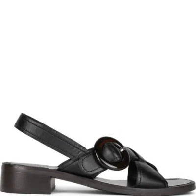 Jeffrey Campbell Sandals In Black/brown