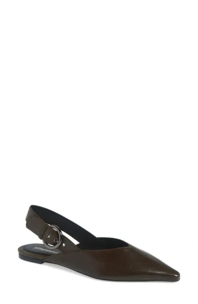 Jeffrey Campbell Scone Slingback Pointed Toe Flat In Khaki
