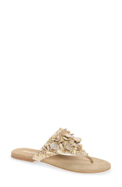 Jeffrey Campbell Tidal Wave Shell Embellished Thong Sandal In Multi