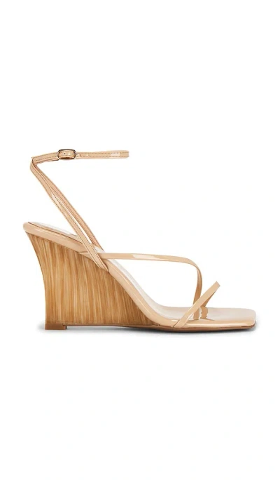 Jeffrey Campbell Topsail Sandal In Brown