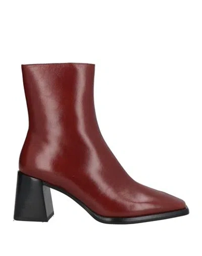 Jeffrey Campbell Woman Ankle Boots Brown Size 7 Leather