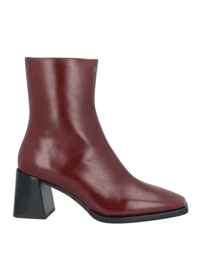 Jeffrey Campbell Woman Ankle Boots Brown Size 7 Leather In Burgundy