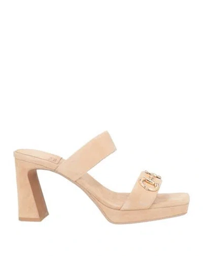 Jeffrey Campbell Woman Sandals Beige Size 5 Leather In Multi
