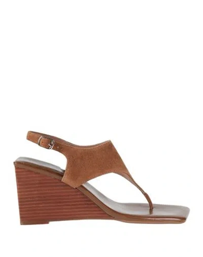 Jeffrey Campbell Woman Thong Sandal Camel Size 7 Leather In Beige