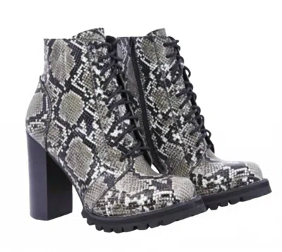Jeffrey Campbell Women's Legion Snake Shoes In Legion Grey