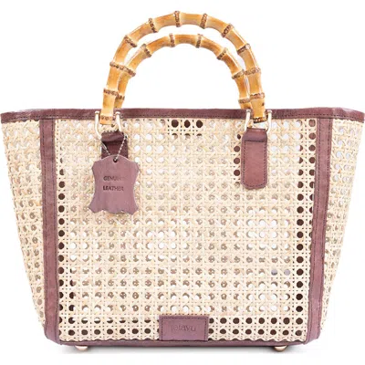 Jelavu Bristol Medium Satchel Bag In Chocolate