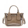 Jen & Co. Women's Stacey Clear Satchel With Inner Bag In Taupe In Neutral