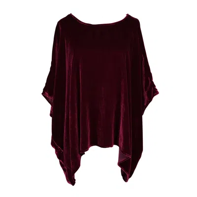 Jennafer Grace Women's Plumberry Silk Velvet Scarf Top In Purple