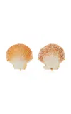 Jennifer Behr Deryn Shell Earrings