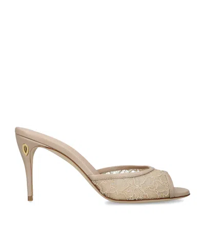 Jennifer Chamandi Lace Guido Mules 85