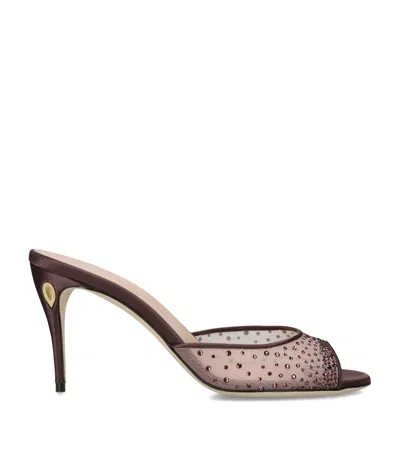 Jennifer Chamandi Lace Guido Mules 85
