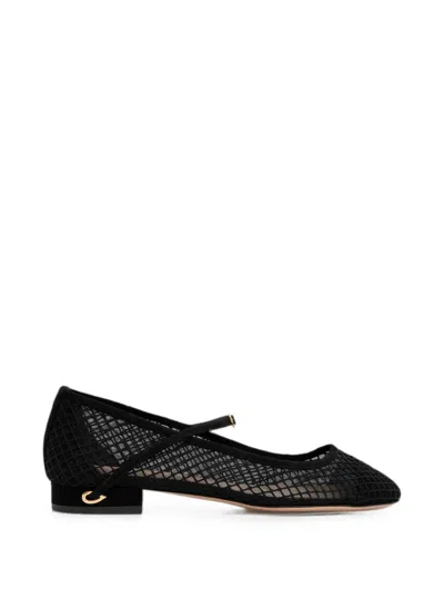 Jennifer Chamandi Paolo Mesh Ballet Flats In Black