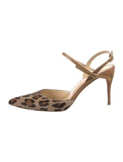 Pre-owned Jennifer Chamandi Ponyhair Animal Print Pumps In Neutrals