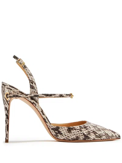 Jennifer Chamandi Vittorio 105mm Snakeskin Pumps In Neutrals