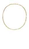 Jenny Bird Dhani Chain In Gold