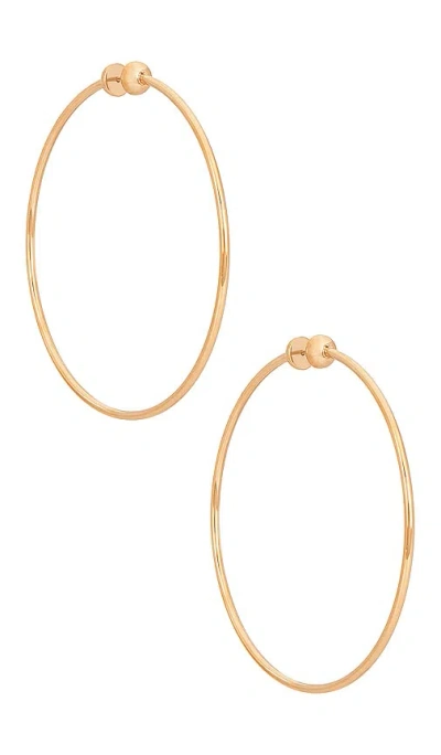 Jenny Bird Icon Large Hoop Earrings In Gold