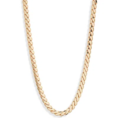Jenny Bird Paloma Chain Necklace In High Polish Gold