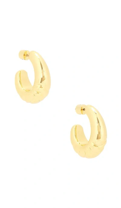 Jenny Bird Slim Nelle Hoops In Gold