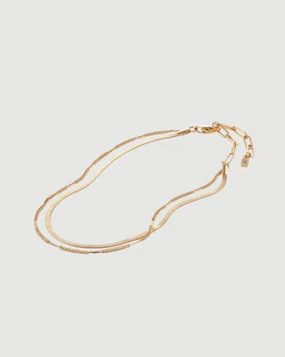Jenny Bird Surfside Anklet In Gold