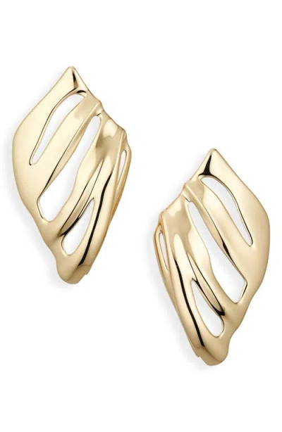 Jenny Bird The Kites Drop Earrings In Brown