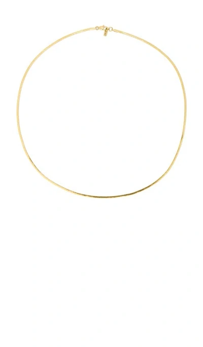 Jenny Bird Zeina Slim Chain In Gold
