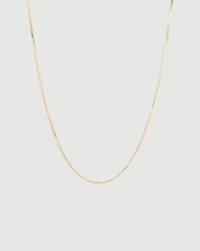 Jenny Bird Zeina Slim Chain In Gold