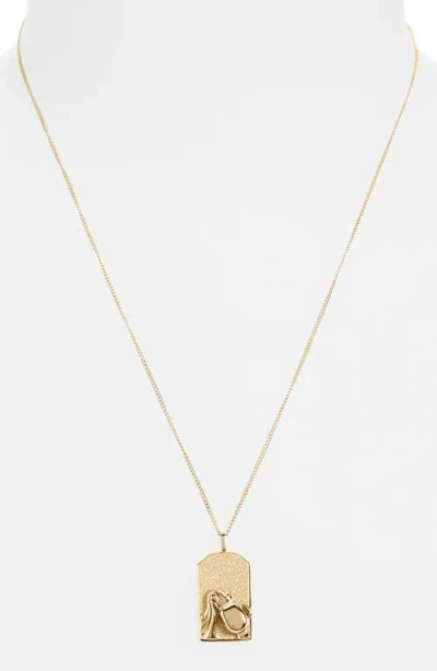 Jenny Bird Zodiac Pendant Necklace In Gold - Aquarius
