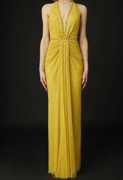 Jenny Packham Petunia Embellished Gown In Yellow