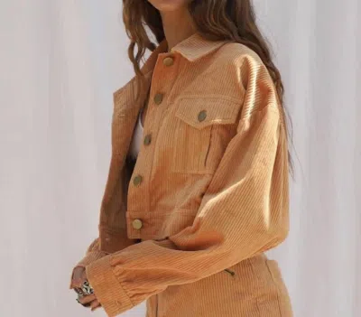 Jen's Pirate Booty Yin Yang Cropped Jacket In Sand In Brown