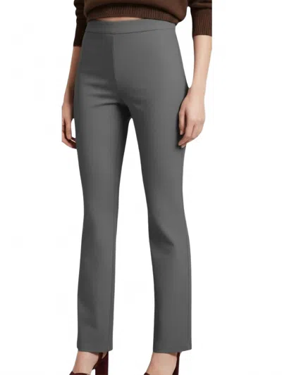 J'envie/eli The Modena Straight-leg Pant In Steel In Gray