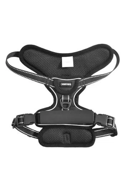 Jespet Goopaws Adjustable Padded Dog Harness In Black
