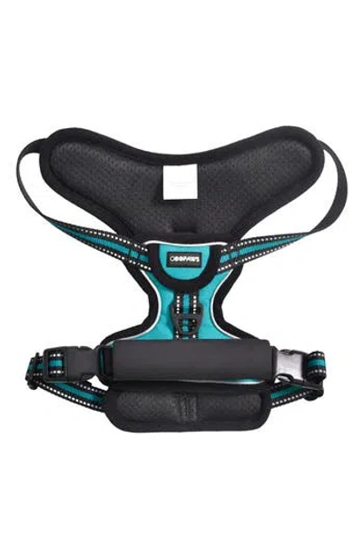 Jespet Goopaws Adjustable Padded Dog Harness In Blue