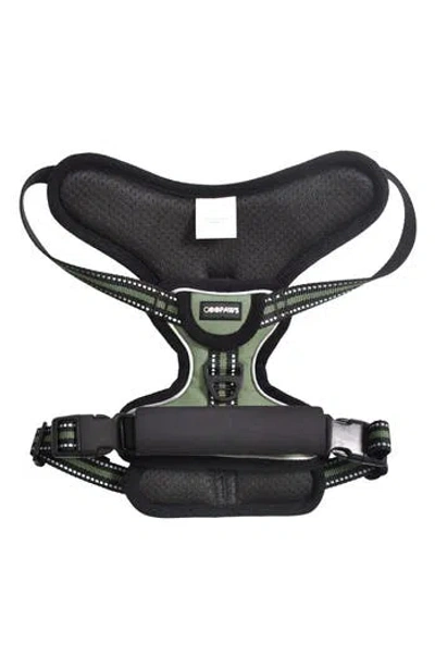 Jespet Goopaws Adjustable Padded Dog Harness In Green