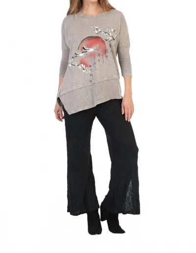 Jess & Jane Thousand Miles Mineral Washed Dolman Sleeve Cotton Top - Plus In Taupe In Gray