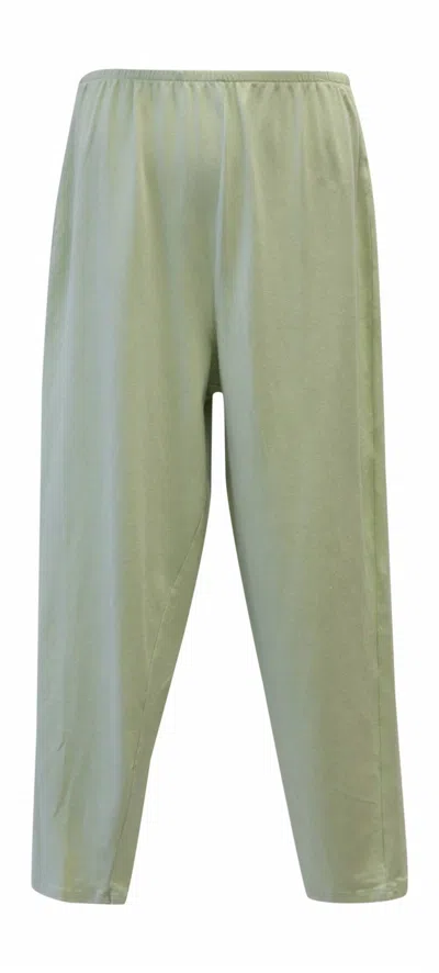 Jess & Jane Women's Cotton Ankle Leggings - Plus In Light Green
