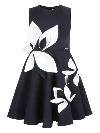 Jessie And James Floral-appliqué Skater Dress In Blue