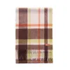 Jessie Zhao New York Cashmere Plaid Fringe Scarf - Brown Lime