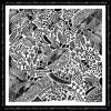 Jessie Zhao New York Double Sided Silk Scarf Of Black Garden