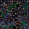 Jessie Zhao New York Double Sided Wool Silk Shawl Of Night Garden