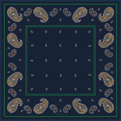 Jessie Zhao New York Paisley Nocturne Double Sided Silk Scarf In Blue