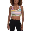 Jessie Zhao New York Sports Bra In Summer Afternoon