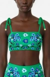 Jessie Zhao New York Tropical Escape Reversible Bikini Top In Green