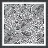 Jessie Zhao New York Women's Black / White Double Sided Wool Silk Scarf Of Black Garden