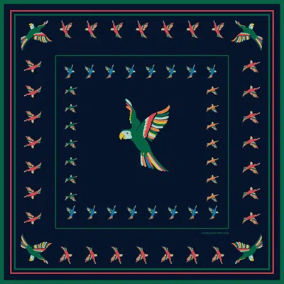 Jessie Zhao New York Sky Parade Double Sided Silk Scarf In Blue