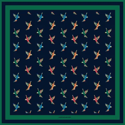 Jessie Zhao Women's Freedom Wings Double Sided Silk Scarf In Blue In Green