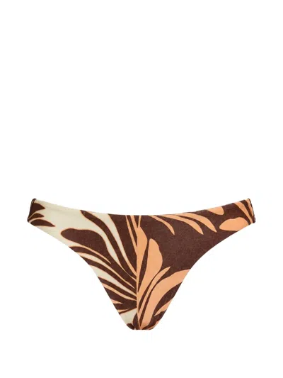 Jets Australia Dahlia Leaf-print Bikini Bottoms In Transparent
