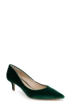 Jewel Badgley Mischka Enola Pointed Toe Kitten Heel Pump