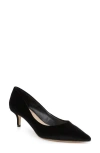 Jewel Badgley Mischka Enola Pointed Toe Kitten Heel Pump In Black