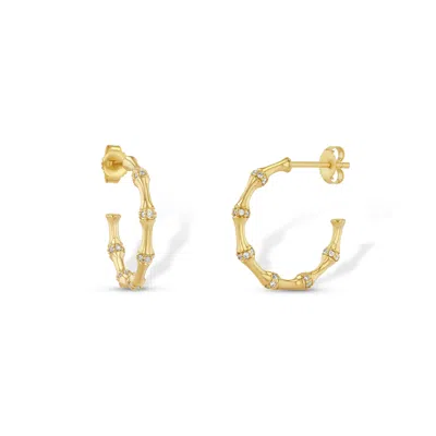 Jewelbird Women's Gold Bamboo Diamond Hoop Earrings